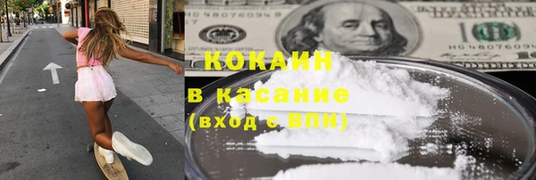 прущие грибы Волоколамск