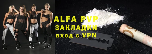 прущие грибы Волоколамск