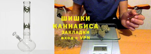 прущие грибы Волоколамск
