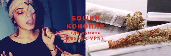 прущие грибы Волоколамск