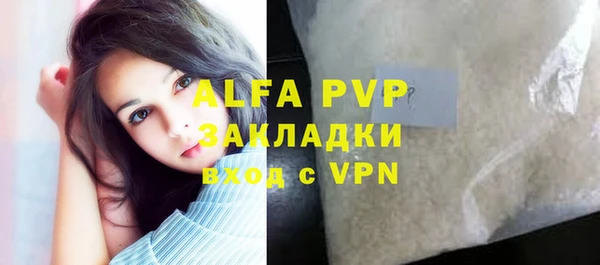 прущие грибы Волоколамск