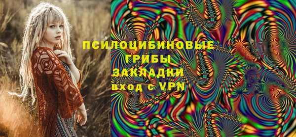 гашик Володарск