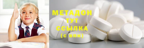прущие грибы Волоколамск