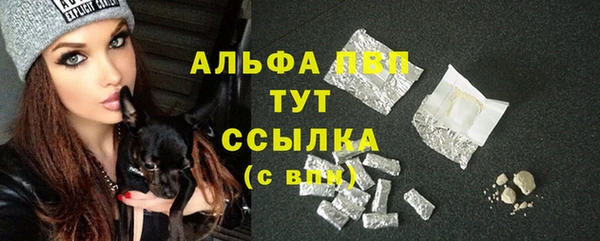 прущие грибы Волоколамск