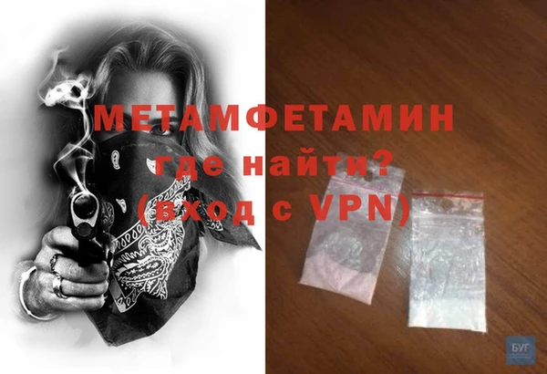 прущие грибы Волоколамск